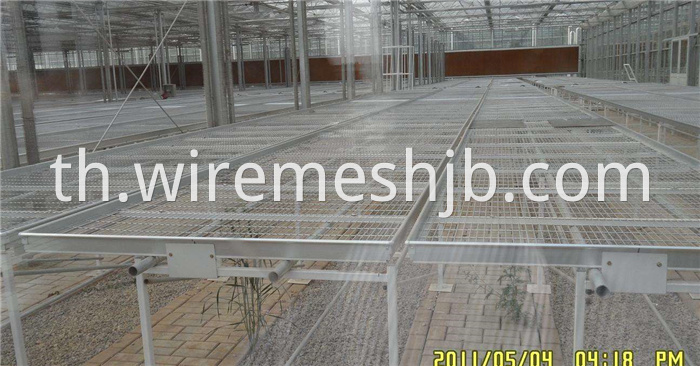 Seedling Bed Mesh